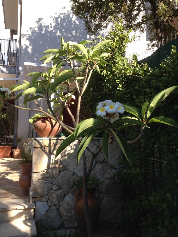 아치카스텔로 Il Giardino Dei Limoni B&B 외부 사진