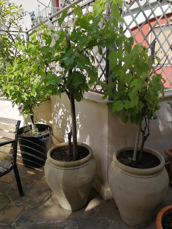 아치카스텔로 Il Giardino Dei Limoni B&B 외부 사진